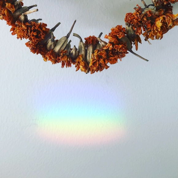 Meet your Posher, Kalin - Picture 2 of 2